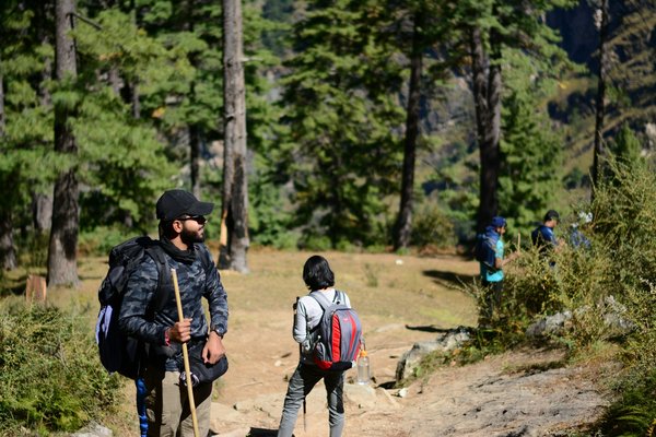 Comment explorer les forêts tropicales de Bornéo, Malaisie : itinéraires et conseils pratiques ?