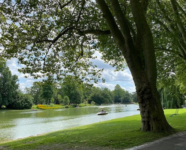 Comment planifier une visite des jardins botaniques de Kirstenbosch, Afrique du Sud?