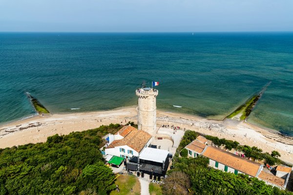 Quels sont les meilleurs spots pour la plongée en apnée avec les requins-baleines aux Philippines?